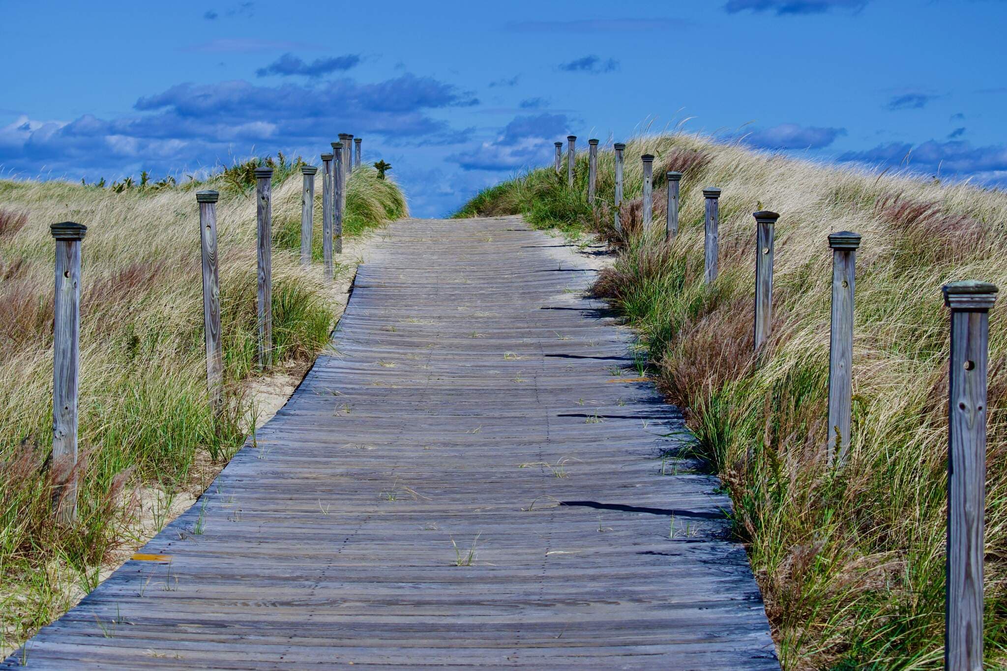A boardwalk path leading through grassy dunes toward the sea